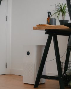 how to clean the air in your home